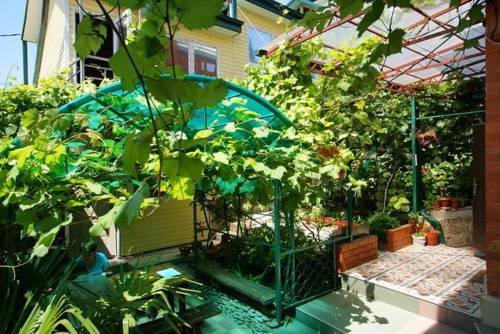 Гостиница Татьянин День B&B Лазаревское